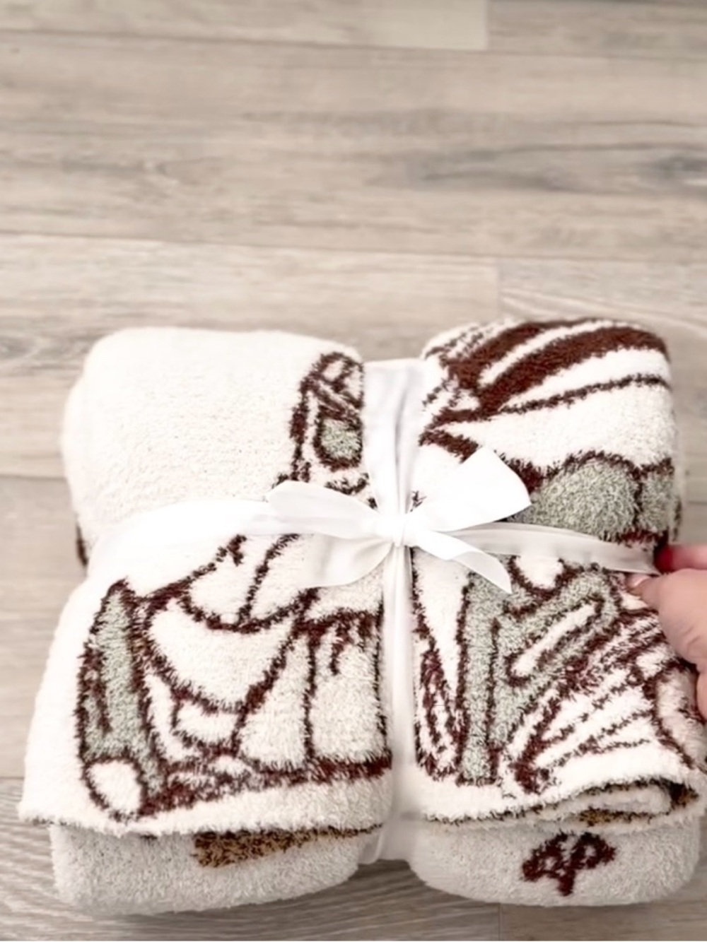 Disney Toy Story MLB Blanket